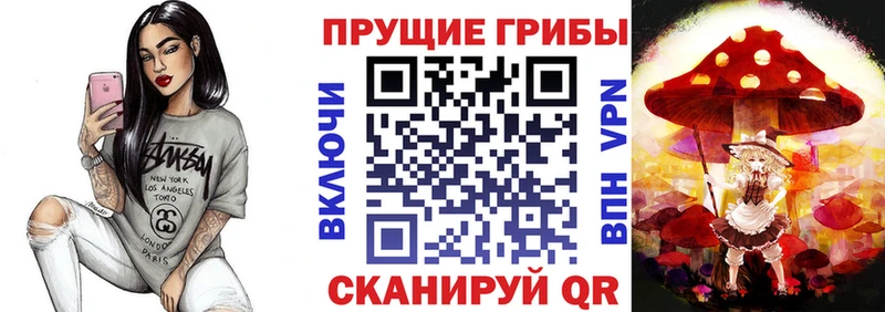 Псилоцибиновые грибы Psilocybe  Петровск 